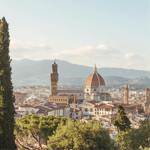 Drive into Florence and take in the city's famous art and culture
