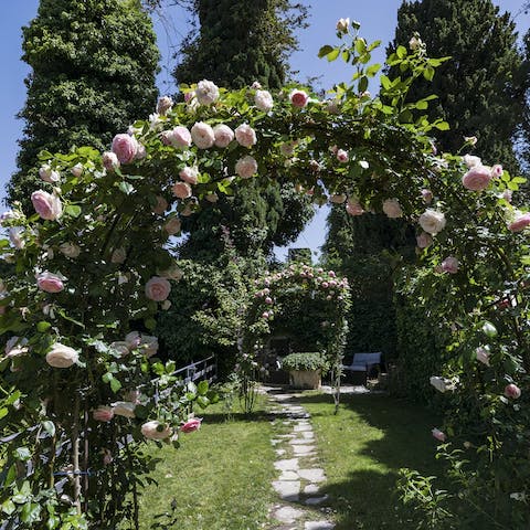 Meader through the rose-strewn walkways of the terraced gardens