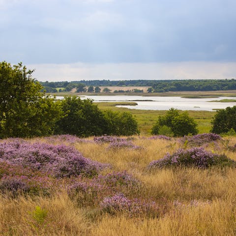 Don't miss out on the chance to explore the Suffolk Coasts and Heaths Areas of Outstanding Natural Beauty for some stunning British scenery