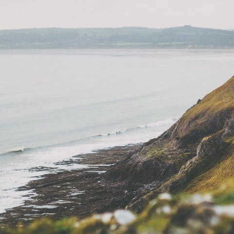 Discover the stunning beaches of the Gower nearby