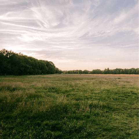 Stretch your legs with a long walk around Wimbledon Common