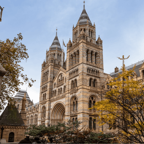 Visit The Natural History Museum, an eight-minute walk away