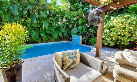 Waterfall Oasis
