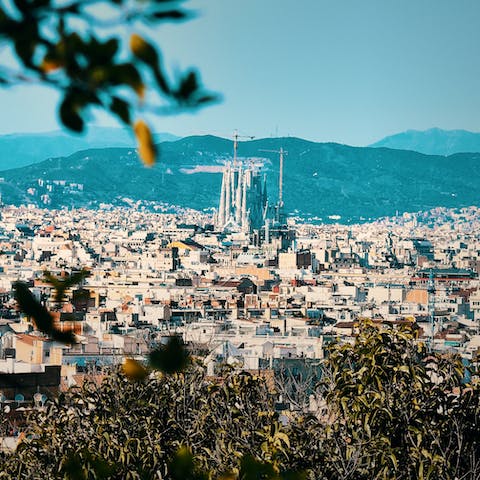 Discover Barcelona from the quieter district of Barcelona City, where you'll have your own pool, hot tub and garden 