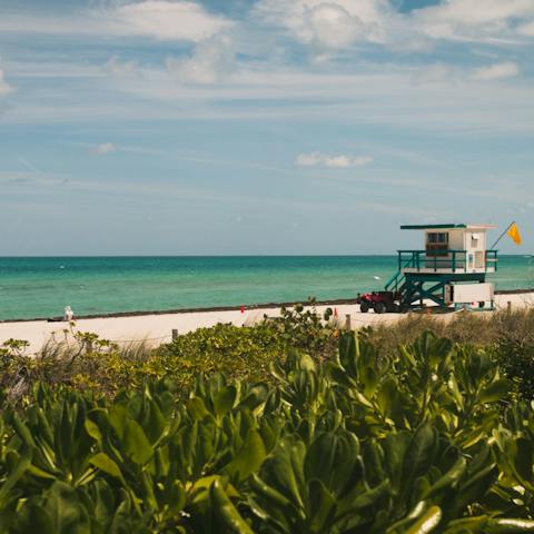 Soak up the Miami sun