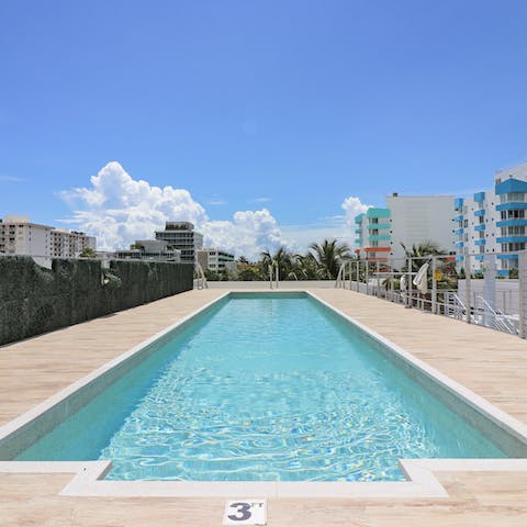 Take a dip in the rooftop pool