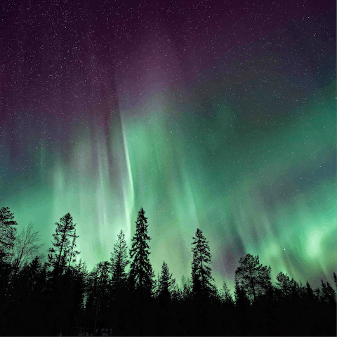 Spot the Noerthern Lights on a clear night in your location just outside the city