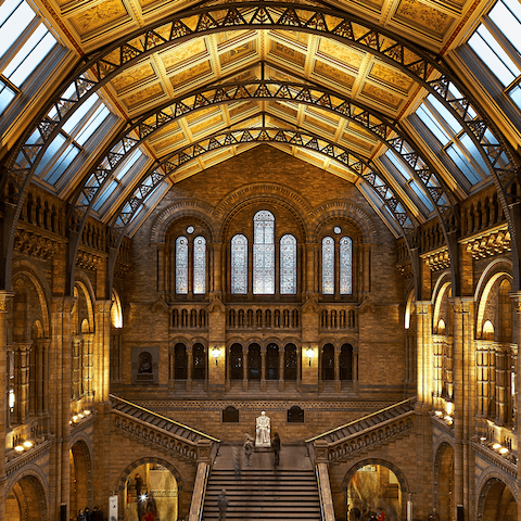 Stroll over to the Natural History Museum to see some fascinating sights