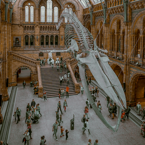 Visit the Natural History Museum just fifteen minutes away