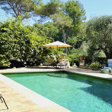 Make a splash in the famous La Colombe d'Or Hotel inspired pool