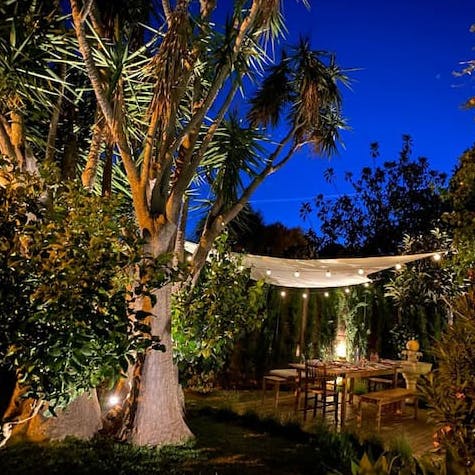 Soak up the magical atmosphere of the gardens at night