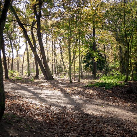 Take a picnic to nearby Bois de Boulogne