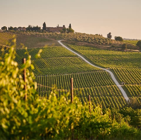 Stay within walking distance of Lecchi in Chianti's village centre