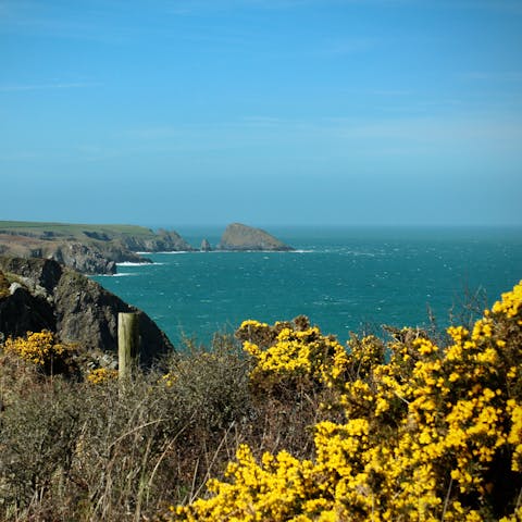 Explore the beautiful Pembrokeshire coast, right on your doorstep