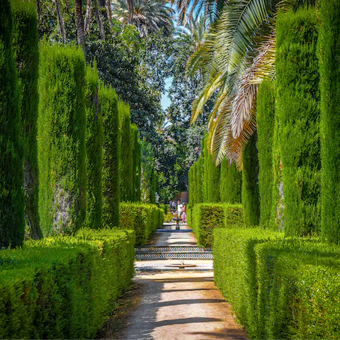 Stroll around the gardens of the Real Alcázar Palace, also a short walk from your apartment