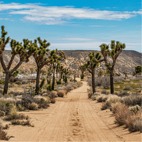 Take a short drive to the gates of Joshua Tree National Park