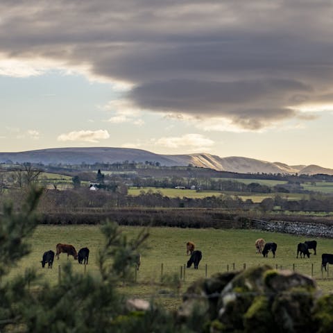 Explore the setting by pony trekking or joining a cycling tour