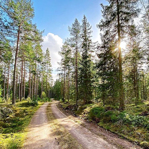 Immerse yourself in the natural beauty of the Småland region