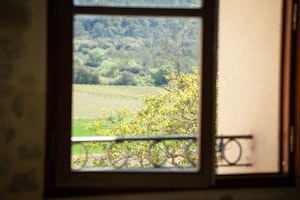 French Vineyards image 11