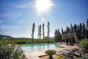 French Vineyards image 7