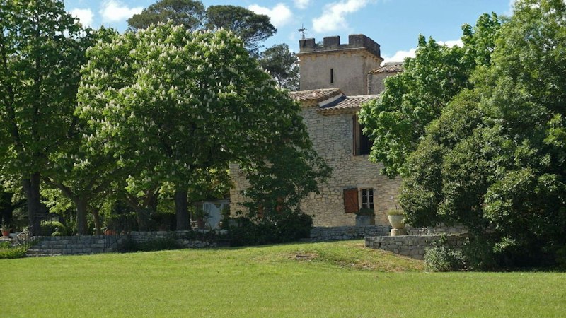 French Vineyards additional image