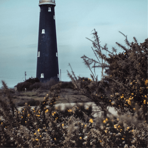 Enjoy the picturesque beaches of the  Dungeness Nature Reserve
