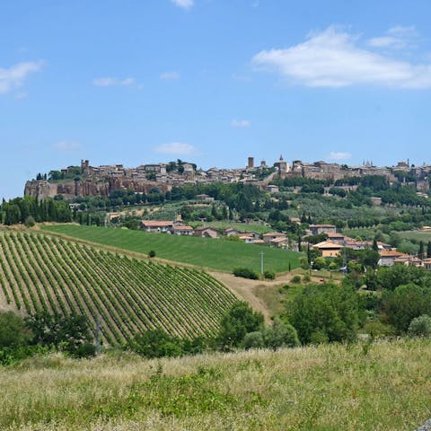 Stay amid the peaceful countryside of Terni, within easy driving reach of the historic town of Orvieto