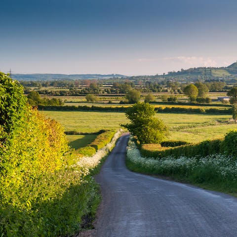 Explore the Somerset countryside from your rural spot near Cheddar