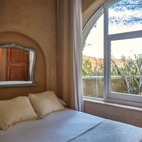 Wake up with the olive trees outside your window
