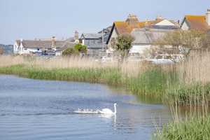 By the Sea Shore image 12