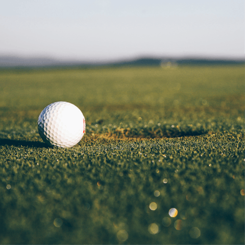 Play a round or two at La Cala golf course, 1km away