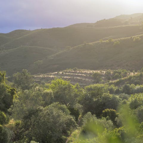 Take in that panoramic view with a glass of Vinho Verde, a typical Portuguese wine