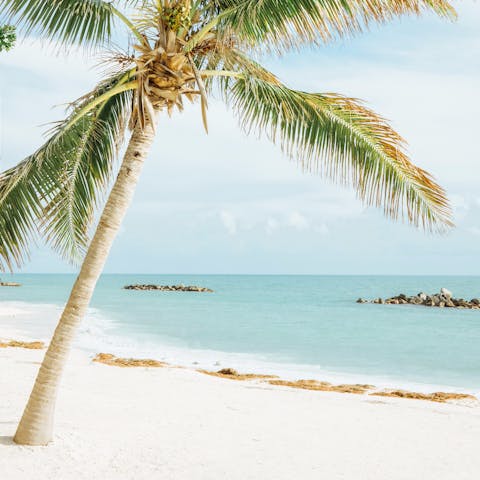 Stroll the powdery sands of Key West's beaches