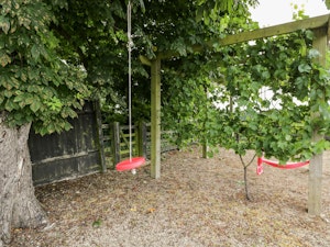 The Stoney Rose image 14