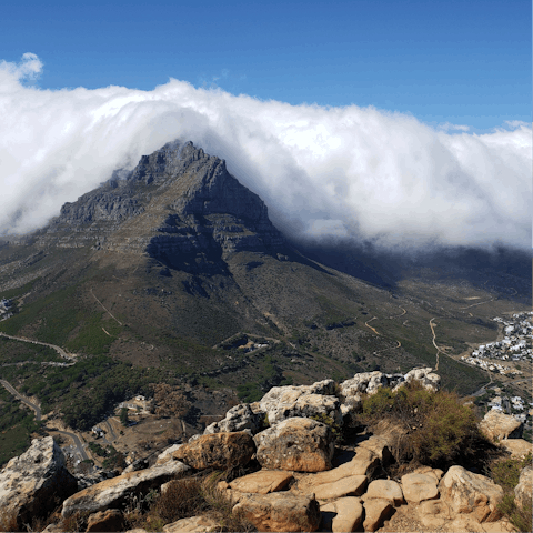 Lace up your hiking boots for Signal Hill, or drive ten minutes to Table Mountain