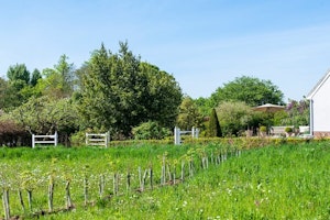 The Chic Retreat image 2
