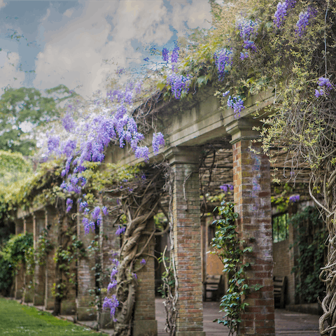 Visit the stunning Valley Gardens, based close to the home