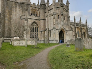 Cotswold Wool image 3