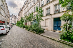 Parisian Aura image 10