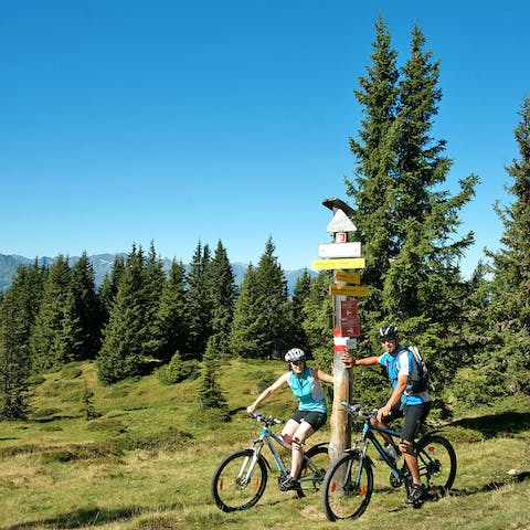 Explore the picturesque mountain trails by bike  