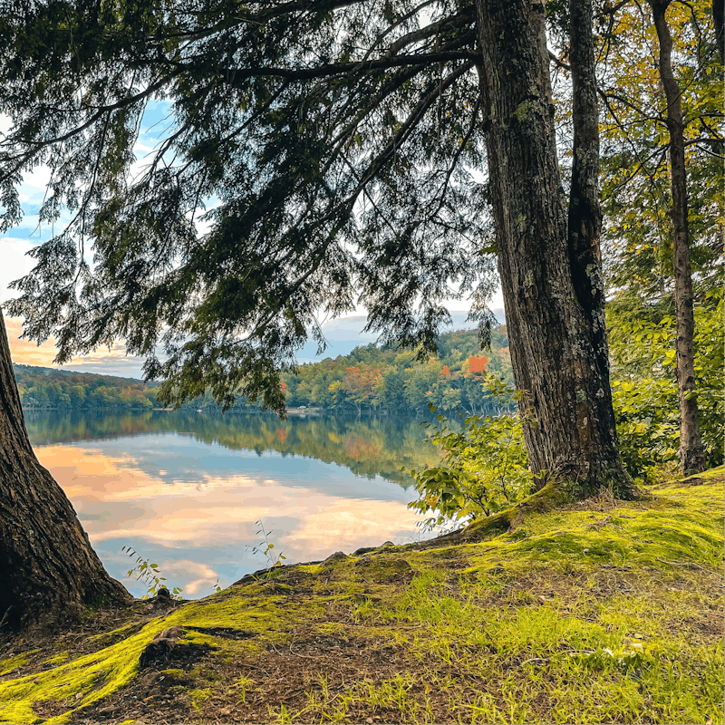 Stay in the forest and hike the trails into the Catskill Mountains