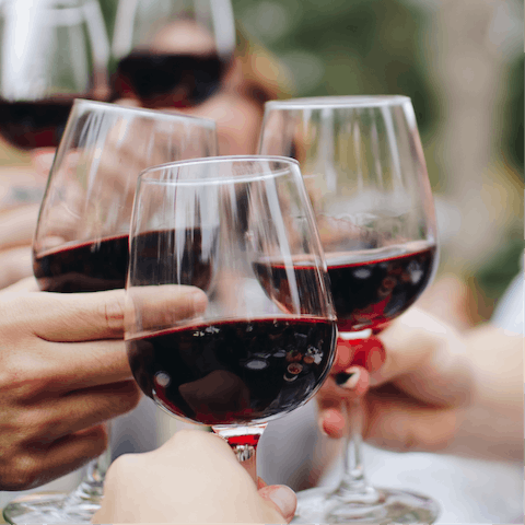 Enjoy a wine tasting of Colli Bolognesi