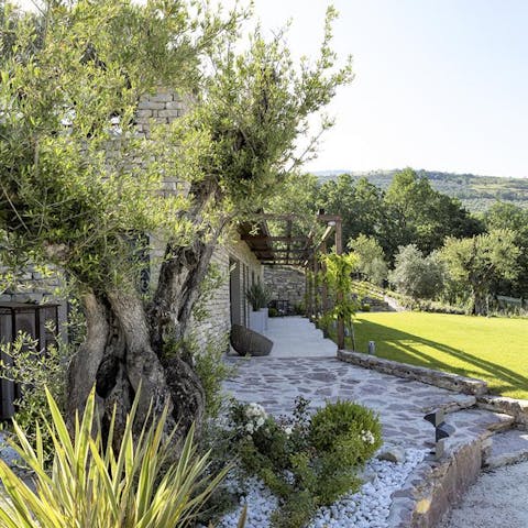 Wander the grounds to discover ancient olive trees and manicured lawns