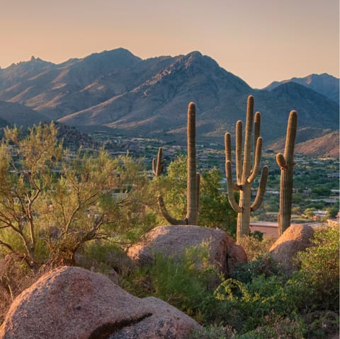 Explore Arizona's forests, preserves and mountains
