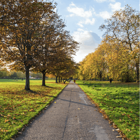 Walk to the beautiful green space in nearby Hyde Park