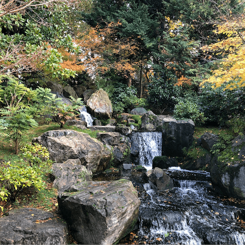 Stroll over to Holland Park in twenty minutes and explore the Kyoto Garden