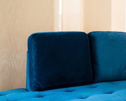 The blue velvet sofa