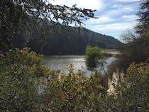 Explore Franklin Canyon Park