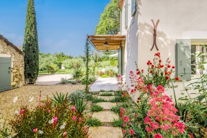 Fields of Rosé image 10
