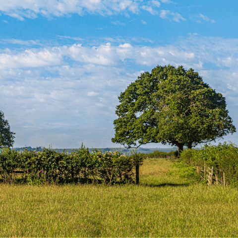 Explore the unspoilt Suffolk countryside that surrounds your home